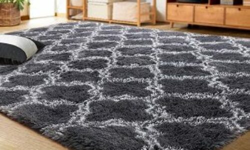 How To Clean an Area Rug With a Pressure Washer?