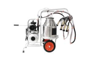 How To Start A Gas Pressure Washer?